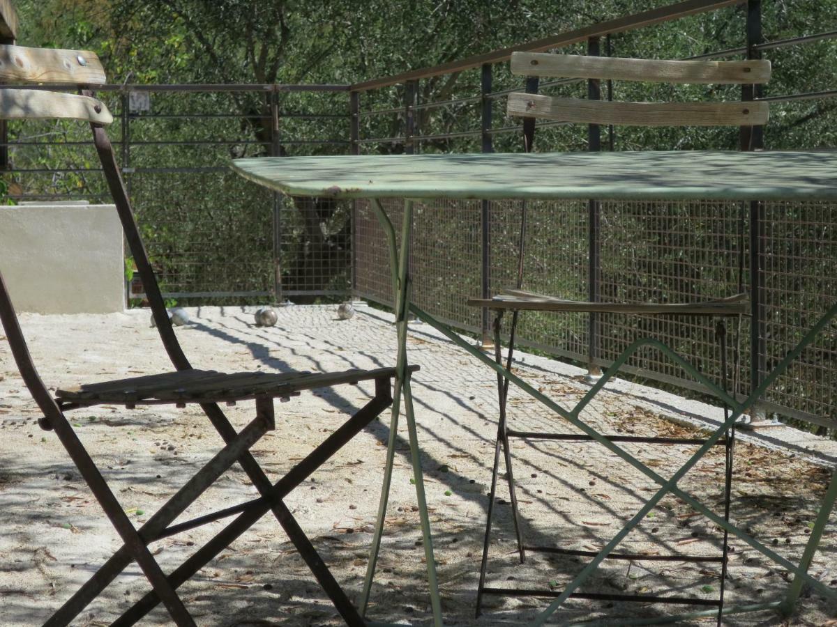 Les Figaires Villa L'Escarene Luaran gambar